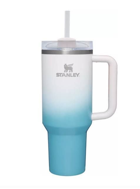 Vacuum Insulated Tumbler